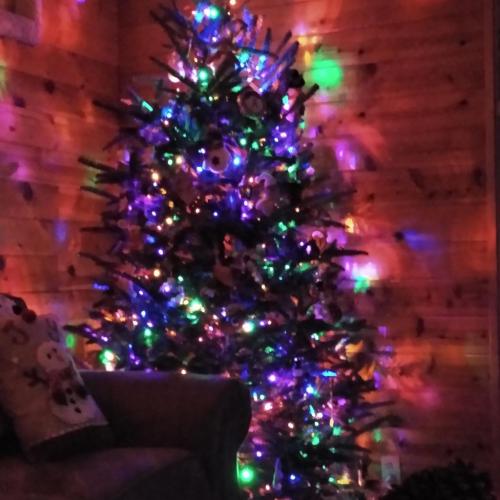 13:50:30 GMT-0500 (EST)