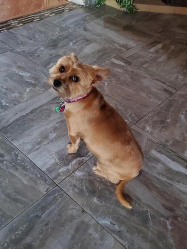 16:50:37 GMT-0800 (PST)