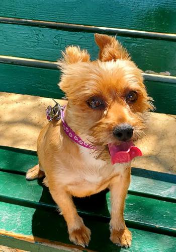 16:36:47 GMT-0800 (PST)