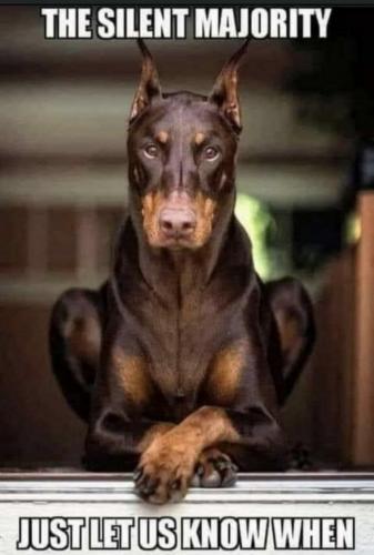 Screenshot_20201116-192052_Wimkin