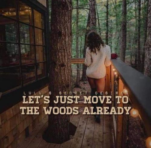 moveto the woods_n