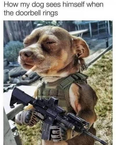 10:28:51 GMT-0600 (CST)