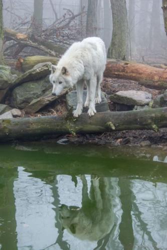 tumblr_65edcf5c29e67ac470b22cbb2d90fef7_b80b68f4_540