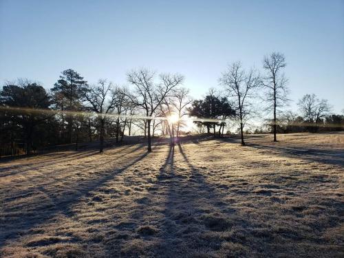 11:16:57 GMT-0600 (CST)