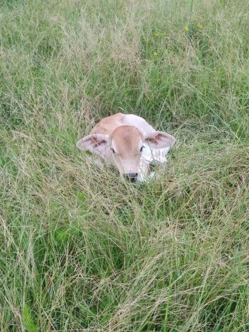 08:02:46 GMT-0500 (EST)