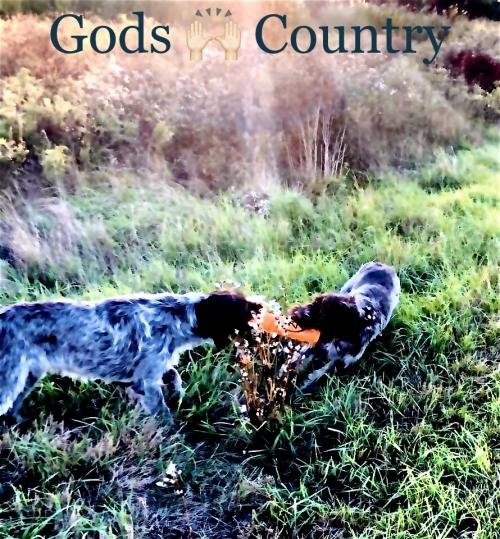 02:14:13 GMT-0500 (EST).image