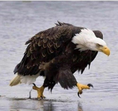 21:16:14 GMT-0500 (EST).image