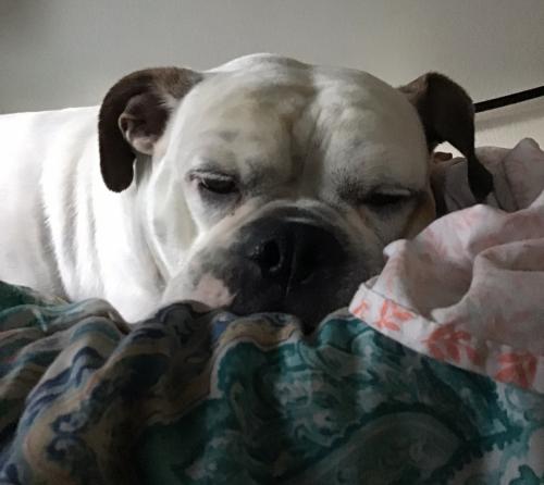 17:21:11 GMT-0800 (PST).image