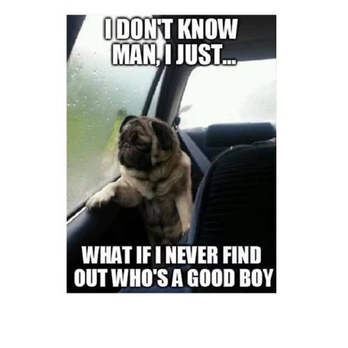 72132230_2670816816304352_7556475846089768960_n