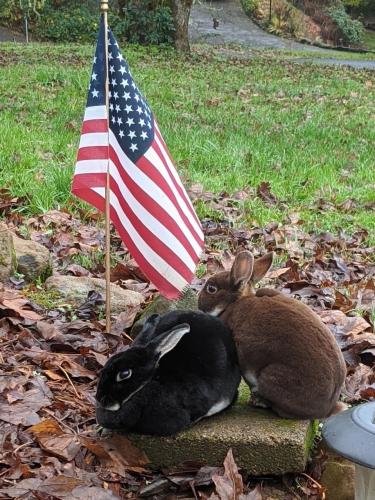 12:53:45 GMT-0600 (CST).image