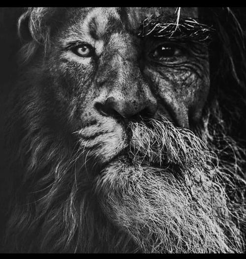 17:50:27 GMT-0500 (EST).image