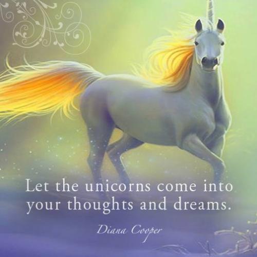 unicorn dreams