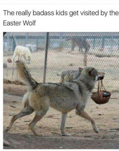 Screenshot_2019-04-28-07-45-42-1