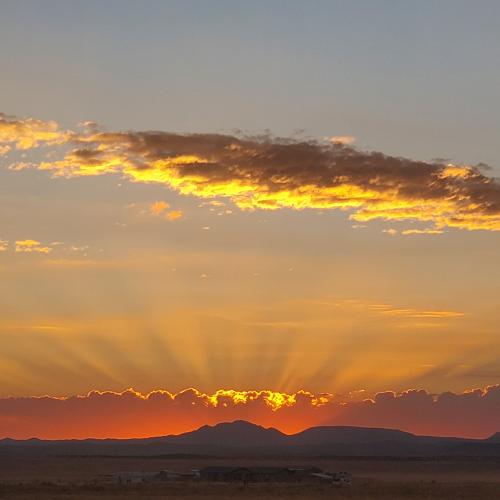 inbound3188953625824889343