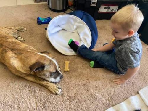 08:58:29 GMT-0600 (CST)