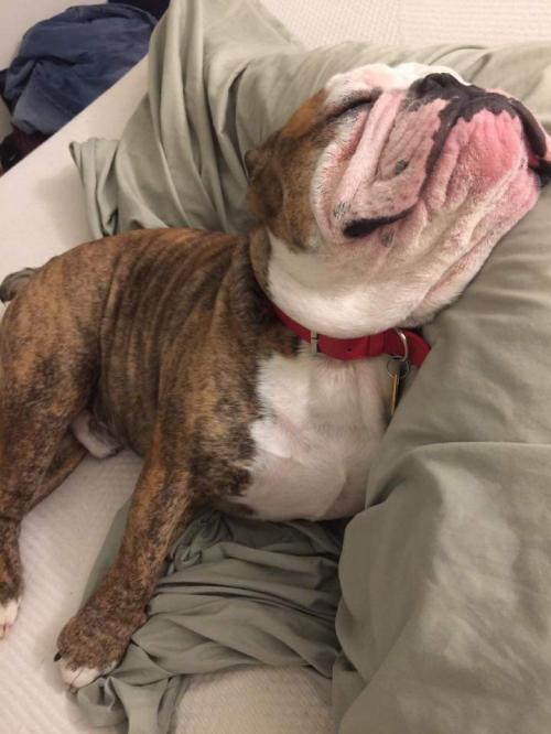 00:31:40 GMT+0100 (WAT).image