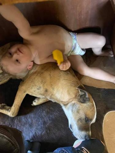 08:50:33 GMT-0600 (CST)