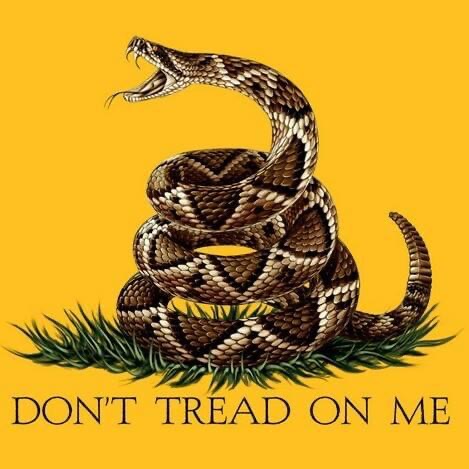 06:50:39 GMT-0600 (CST).image