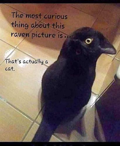 03:55:41 GMT-0500 (EST)