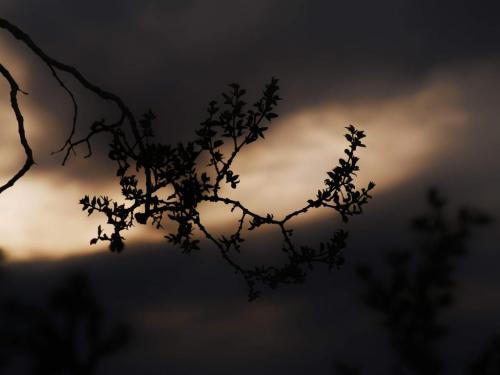 15:03:28 GMT-0800 (PST)