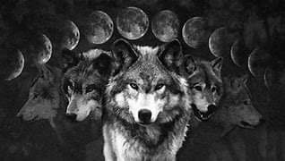 21:03:37 GMT-0600 (CST)