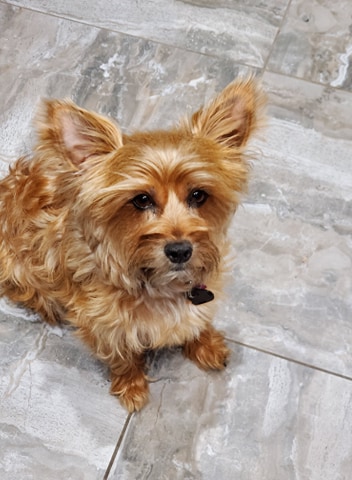 16:40:42 GMT-0800 (PST)