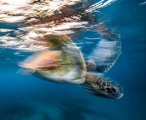 123710900_3167068873403382_8849967208704855453_o