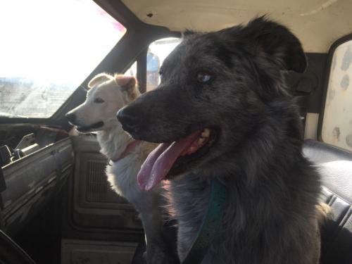 16:37:05 GMT-0800 (PST).image