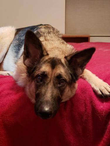 07:00:17 GMT-0700 (MST)