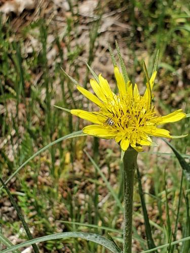 16:01:18 GMT-0800 (PST)