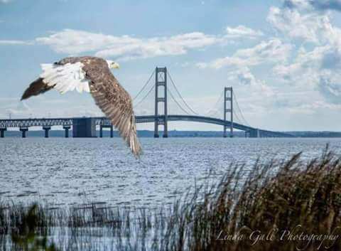 15:52:49 GMT-0500 (EST).image