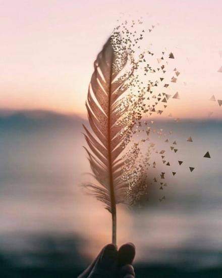 20:49:07 GMT-0600 (CST)