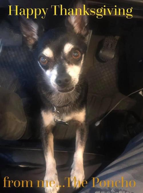 21:48:16 GMT-0500 (EST).image