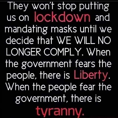 126094147_478889289745137_7462817374246974417_n