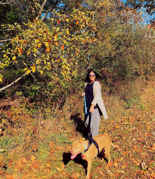 14:25:26 GMT-0500 (EST).image