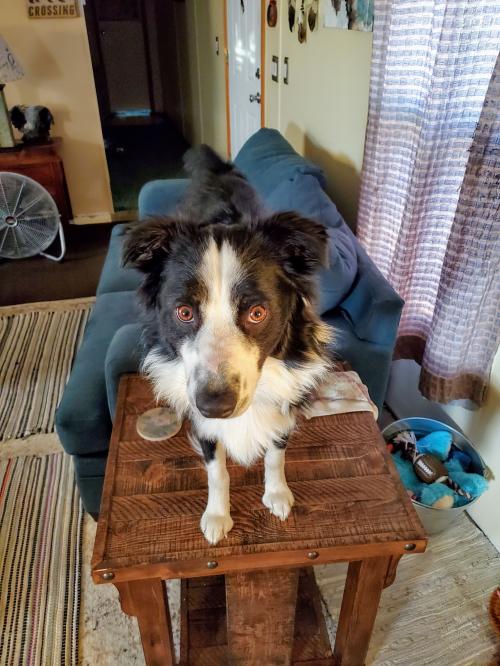 17:21:24 GMT-0700 (MST)