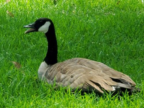 15:42:50 GMT-0800 (PST)