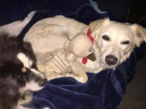 18:52:35 GMT-0800 (PST).image