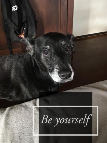 02:02:35 GMT-0600 (CST).image