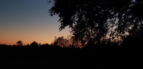 10:53:04 GMT-0600 (CST)