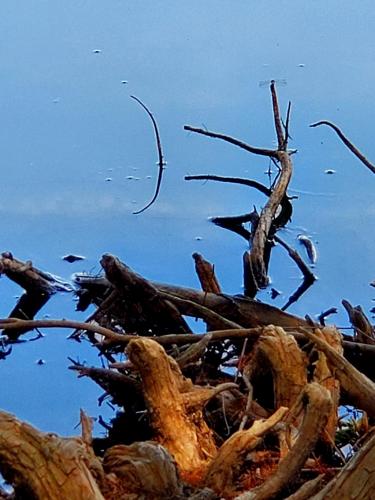 15:42:50 GMT-0800 (PST)