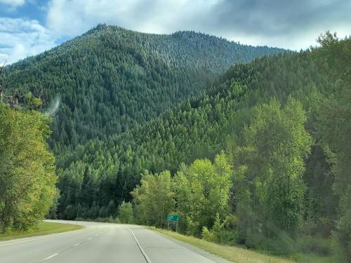 23:29:17 GMT-0600 (CST)