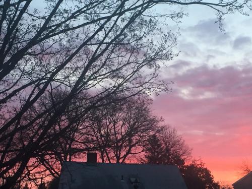 169800D0-97B1-4A39-A278-8A950A637038