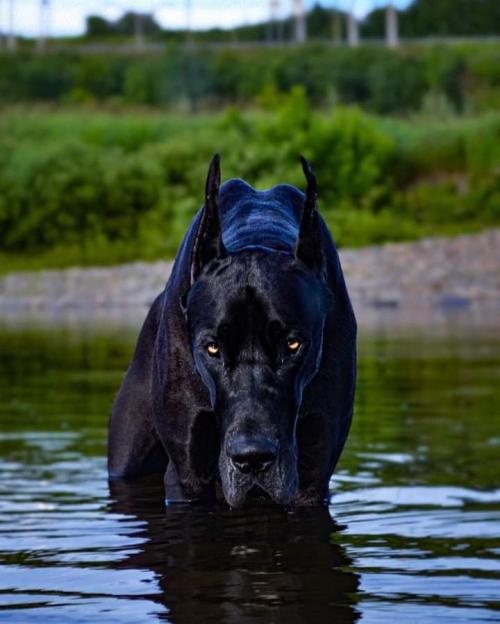 20:52:25 GMT-0800 (PST)