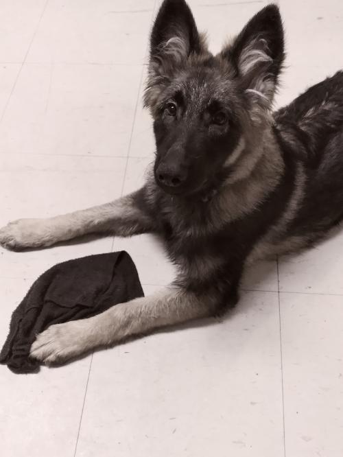 21:34:31 GMT-0600 (CST)