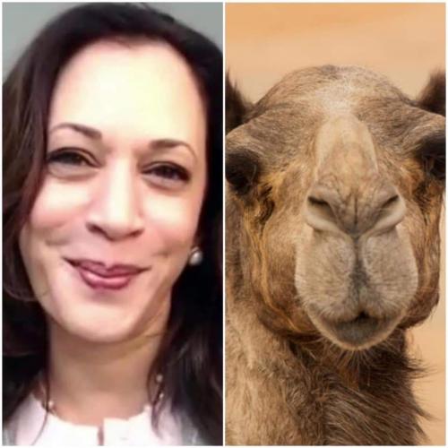 03:39:27 GMT-0600 (CST)