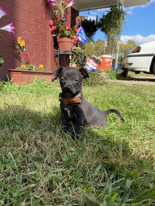 4417A03A-6C35-48C8-9B06-7286E21C0F82