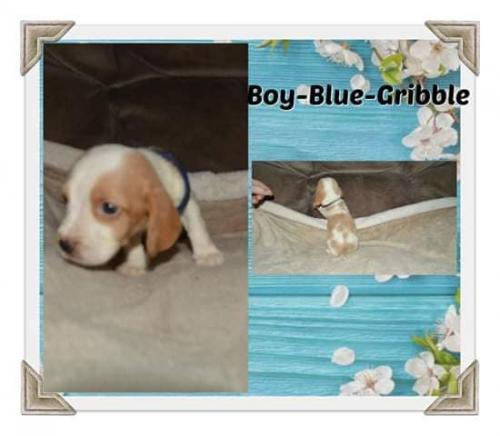 87440400_788881454951435_4754583359936528384_n