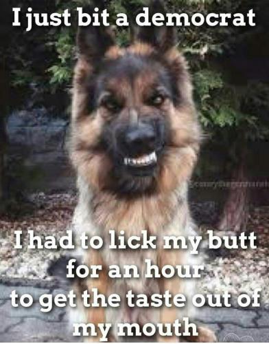 Screenshot_2020-09-16-18-58-58-1