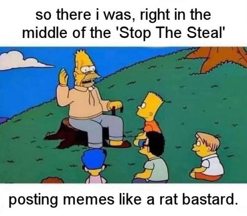stop the steal00